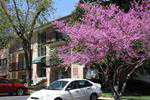 12650 Dara Dr
