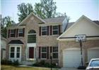 2605 Tree View