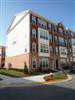 42607 Cardinal